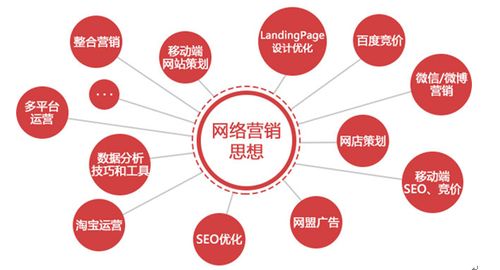 苔米傳媒為何聚焦網(wǎng)絡營銷 互聯(lián)網(wǎng)時代的上網(wǎng)服務新機遇