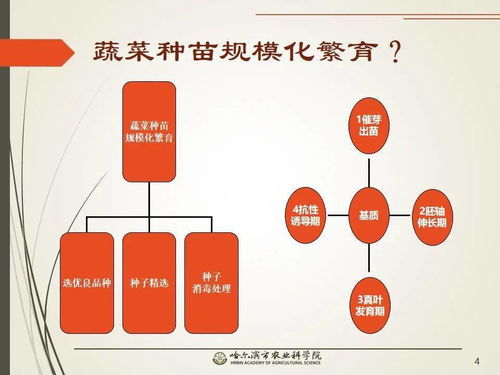 黨建引領謀發(fā)展 科技助農(nóng)備春耕 網(wǎng)絡課堂開啟工廠化育苗知識小百科
